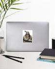 STRIKING EAGLE | Bubble-free Stickers