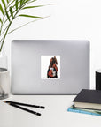 CRAZY HORSE | Bubble-free Stickers